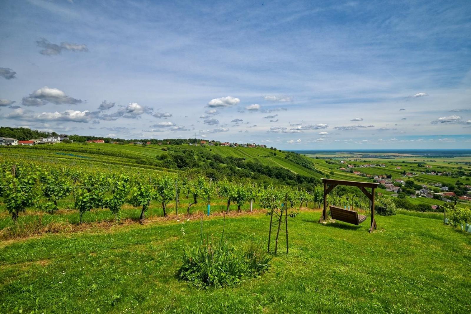 Kellerstoeckl Am Berg Villa Eisenberg an der Pinka Buitenkant foto